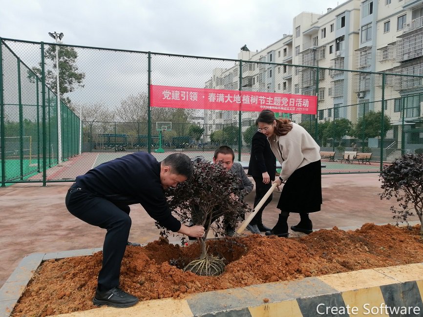 党建引领  春满大地|科睿特开展植树节主题党日活动